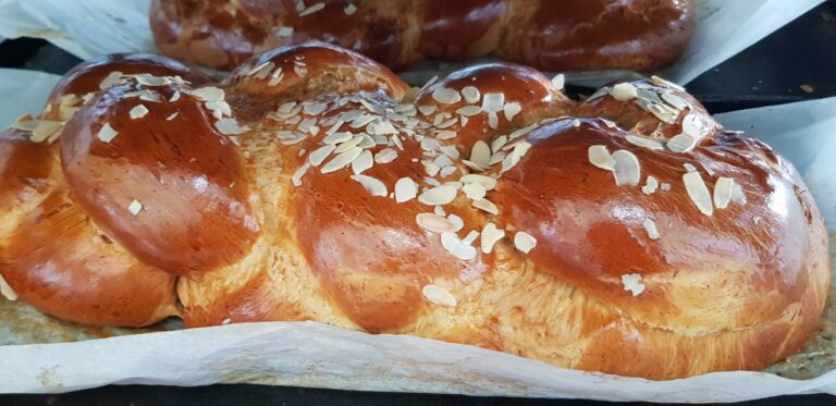 339325685 776583083799007 2614626771943286342 n 768x373