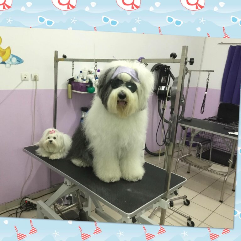 38292810 927829064086527 9059699259930050560 n 768x768