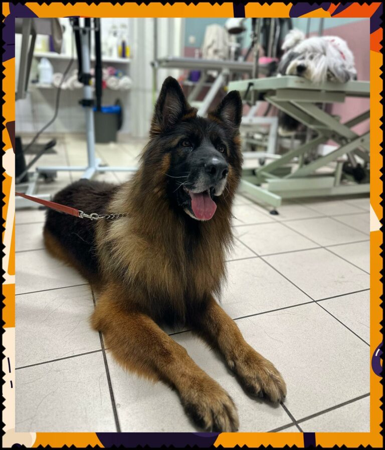 395277996 811217054343406 7421933936291840557 n 768x896