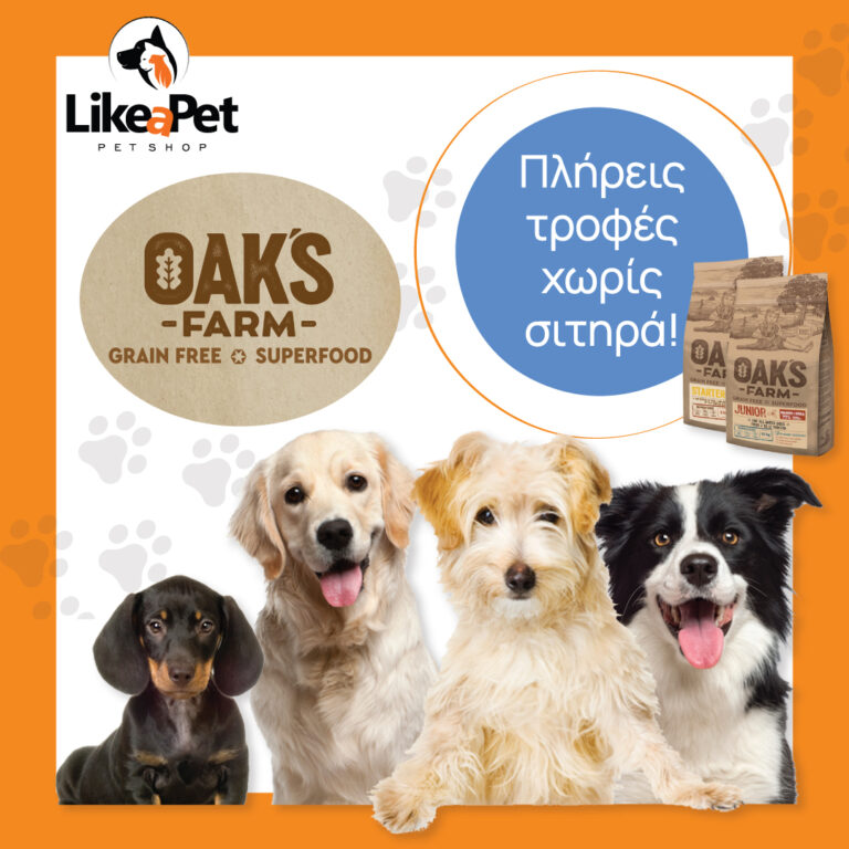 428423969 894967765967793 2468370508846617574 n 768x768