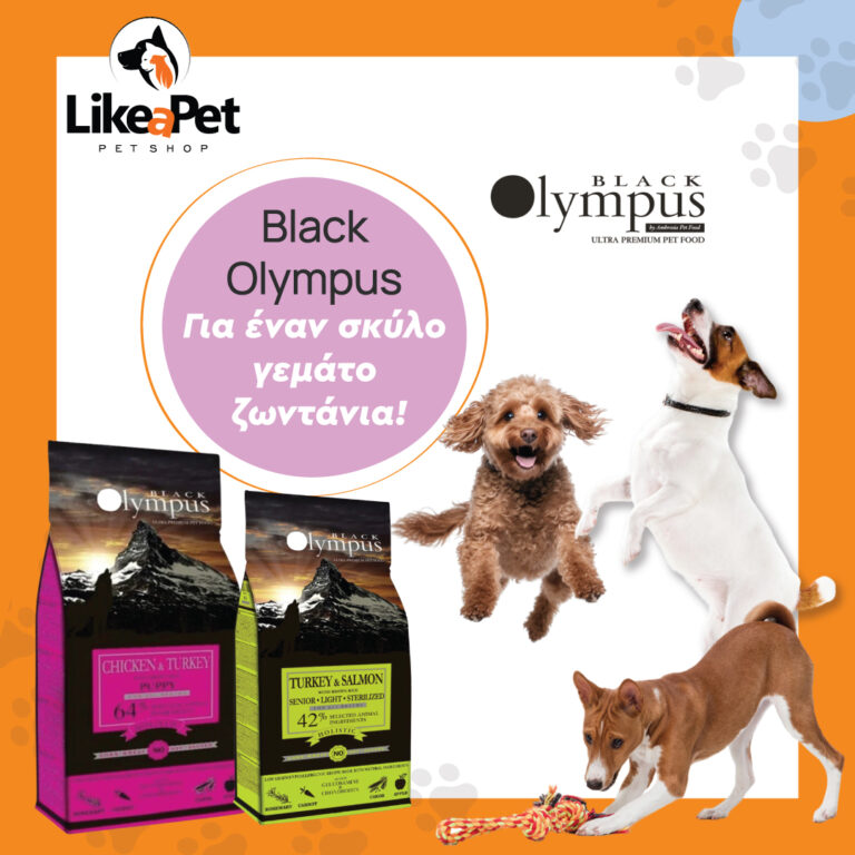 430064148 904596825004887 5393261804993562953 n 768x768