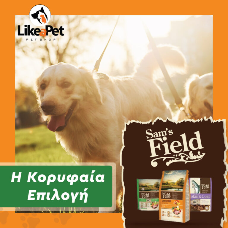 433950826 915237217274181 7261612605397470548 n 768x768