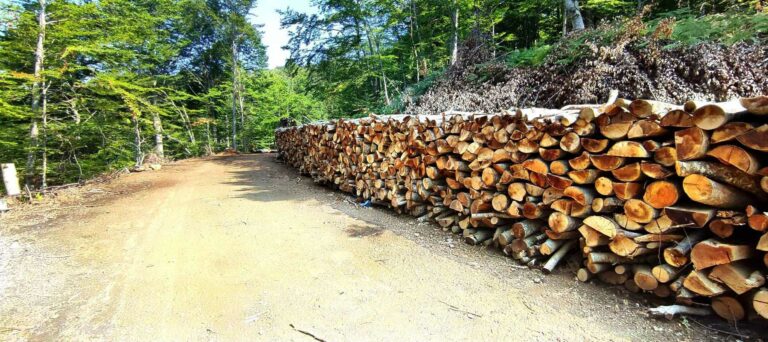 453005006 1035167044882926 4298273436016739525 n 768x342