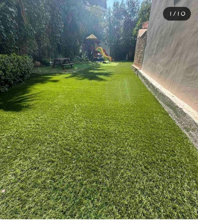 461377625 1133086158251263 4439349565884008173 n 768x858