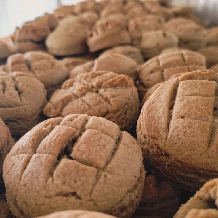 461651576 1028613522608247 5981390954495678285 n 768x768