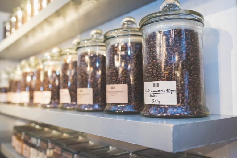 463126381 2888033794679717 5928664493135163628 n 768x513