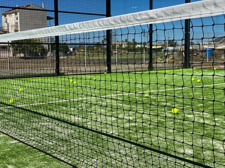 466803006 593995039717949 1683022184785178169 n 768x576