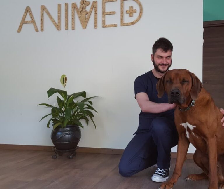 78728813 2696728673699636 3233759956096253952 n 768x647