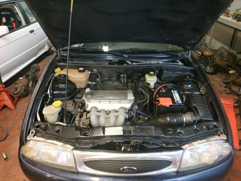 88279196 184410142991780 3198410859126718464 n 768x576