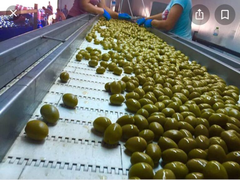 91457365 155334299270385 4025654867807698944 n 768x578