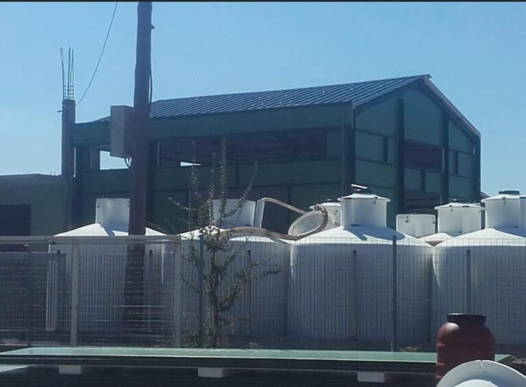 91847891 155216672615481 7092940383977472000 n 768x565