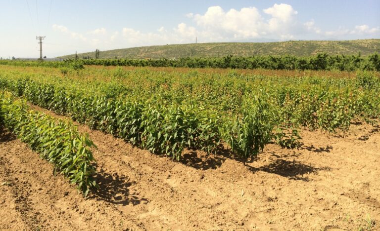 banner rs2 1920 768x468