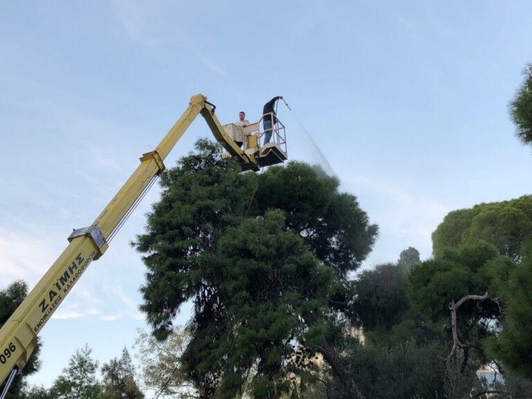 green and healthypiresies 005 1030x773 1 768x576