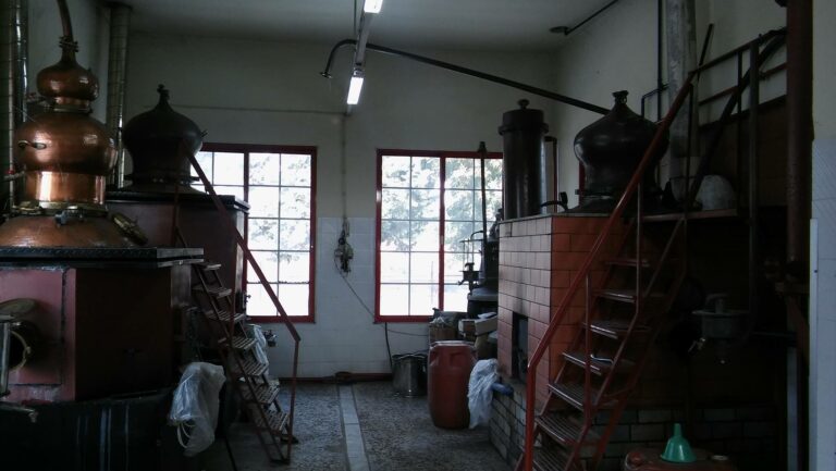 294359250 507541294494884 5720426403626662537 n 768x433