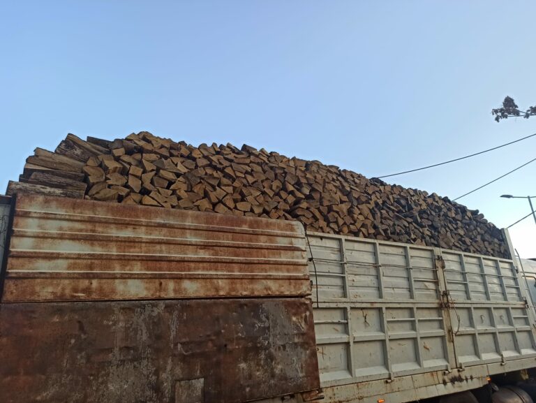 320939725 470226058520967 2428326587210492112 n 768x577