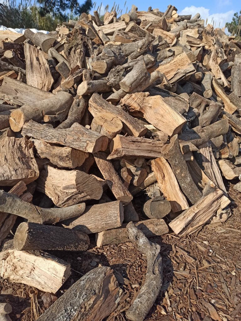 328922504 1889915178025498 1785642172320627402 n 768x1023