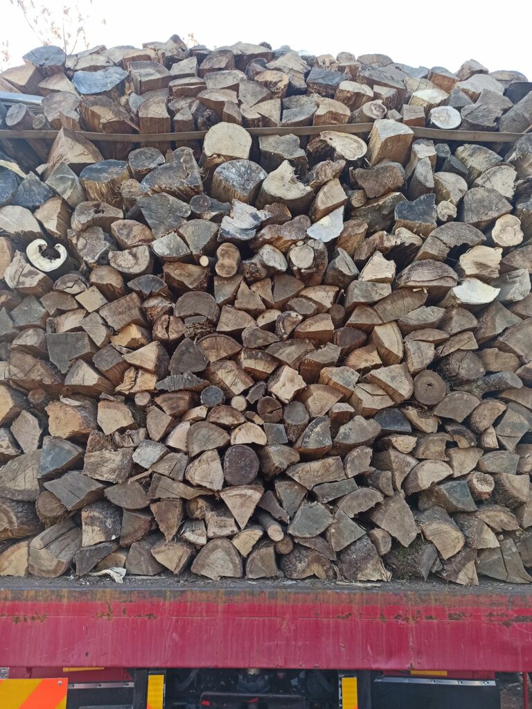 393196001 372492895172704 3518140265658078930 n 768x1023