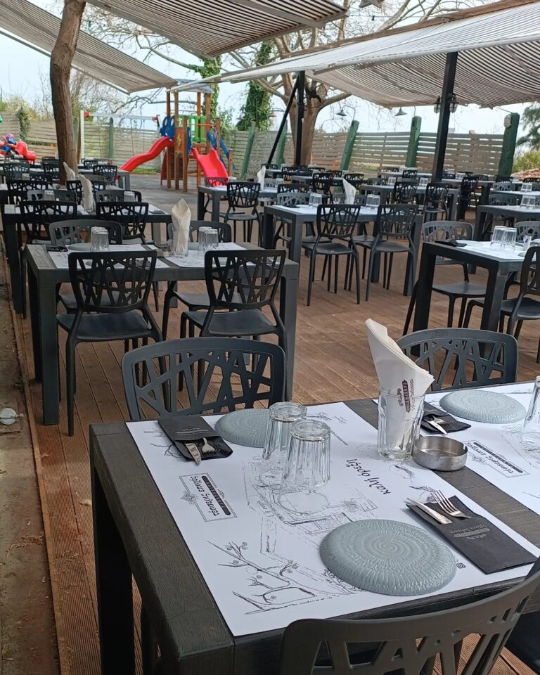 432236429 926306539503531 2882743035539832698 n 768x960