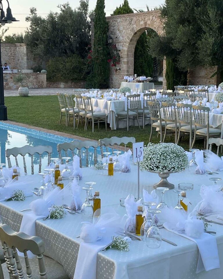 449182782 18048739624767330 8238258047648130626 n 768x960