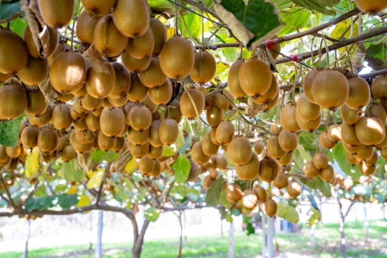 453186654 984072826750210 3251329709663045429 n 768x512