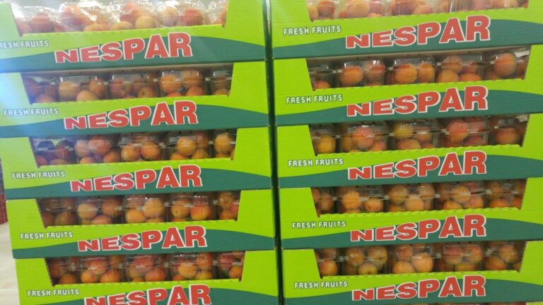 462314524 2681388185377247 8361028042973332816 n 768x432