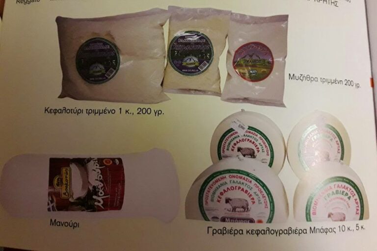 462541226 2739978766199288 4130080169811239050 n 768x512