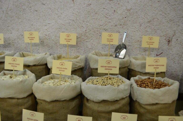 464084814 8466892883432358 407271824108722762 n 768x509