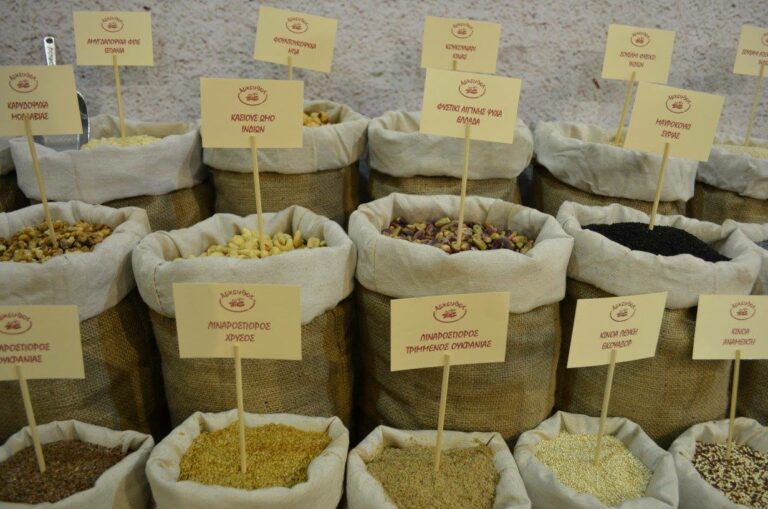 464214100 8466892856765694 8139017359950018802 n 768x509