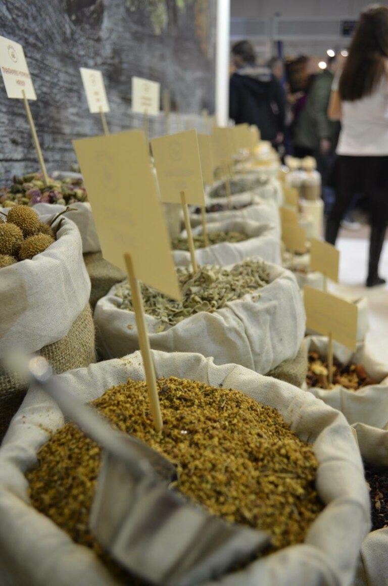 464214445 8466893060099007 1993932047881781716 n 768x1160