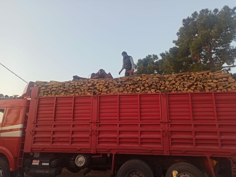 468956729 589382330150425 6345352962644860559 n 768x577