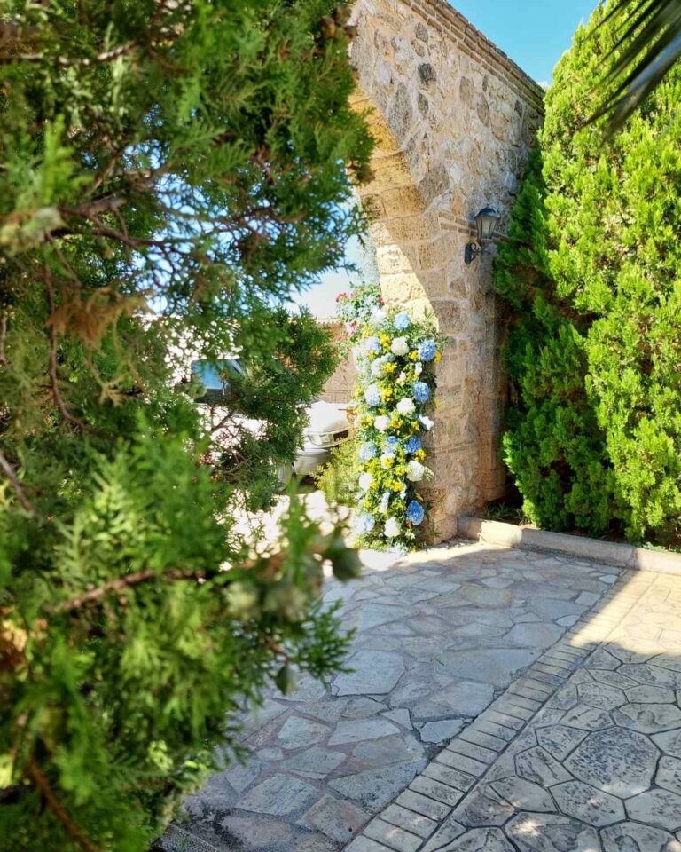 469042155 18064994440767330 413505349208501654 n 768x960