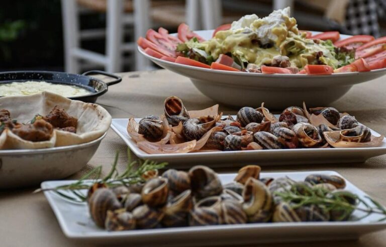 470472643 910545281055405 7182558634927435102 n 768x491