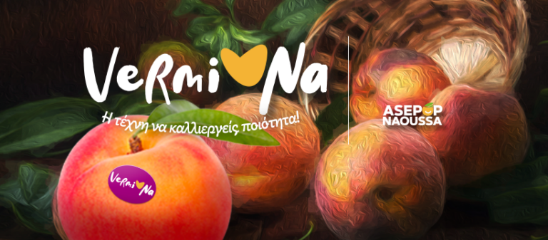 448534014 1002135791553762 2634469194078217568 n 768x337