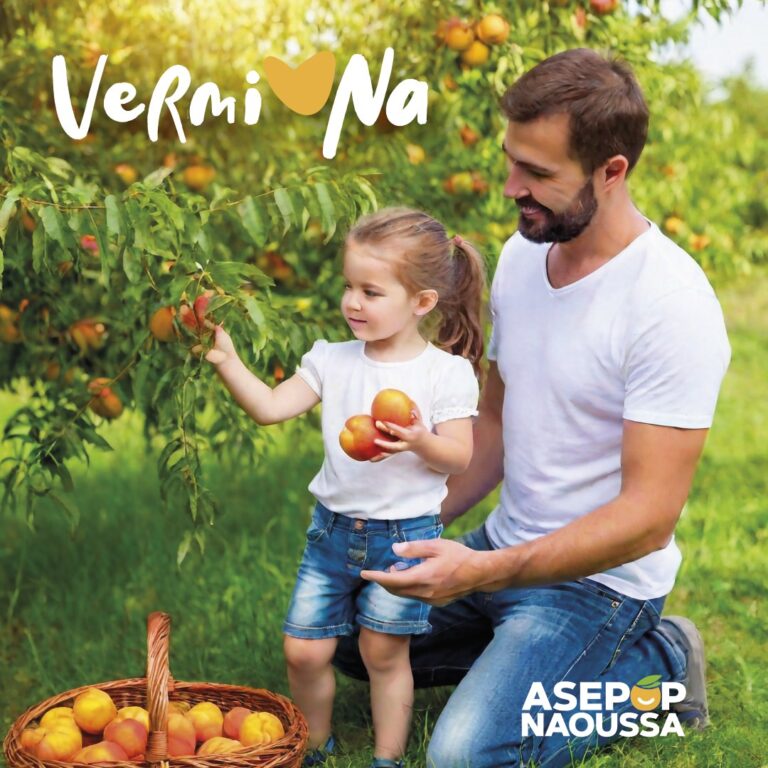 449613385 1156338618802396 5678591936645445433 n 768x768