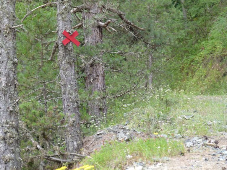 454504433 460547940292269 3567718993176244113 n 768x576