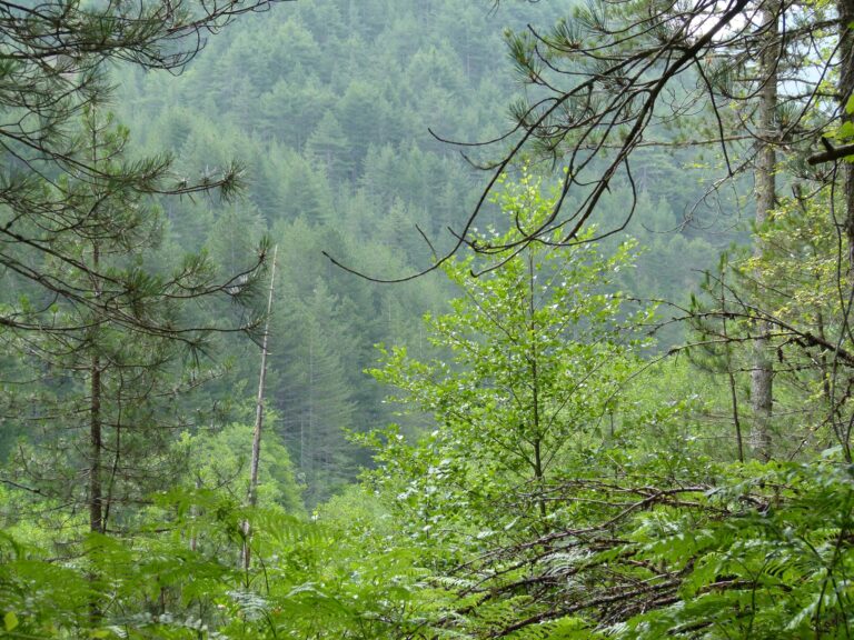 457365504 476587958688267 78127956775246929 n 768x576