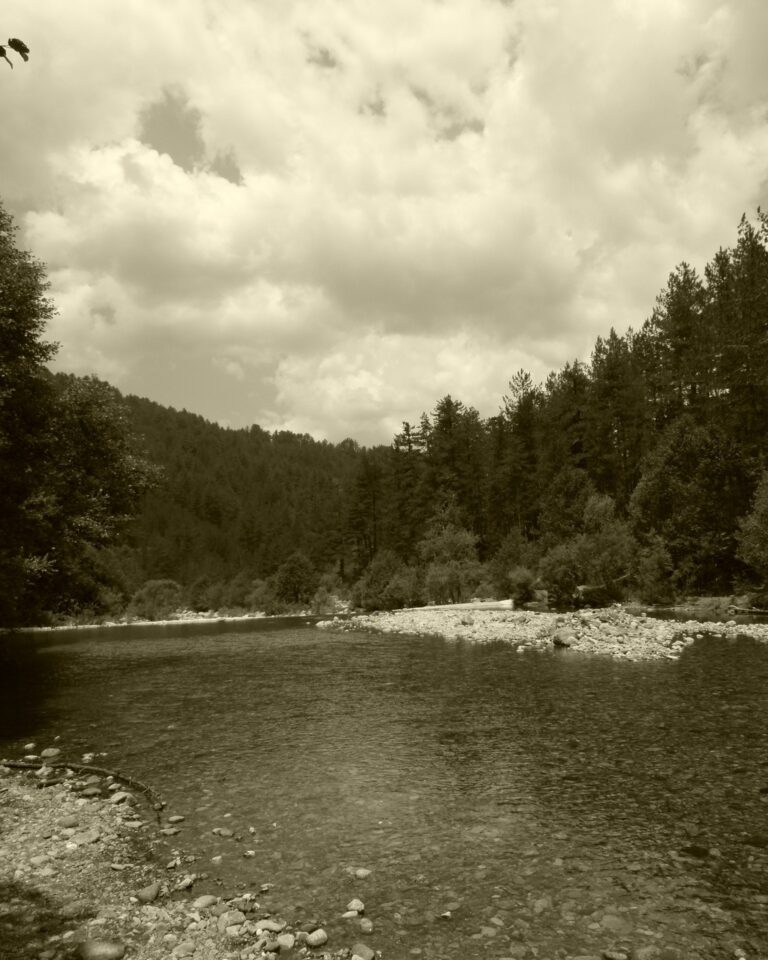 459297651 485604521119944 1096673567718316401 n 768x960