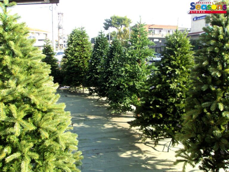 462808509 3965949580284494 7424195131760224520 n 768x576