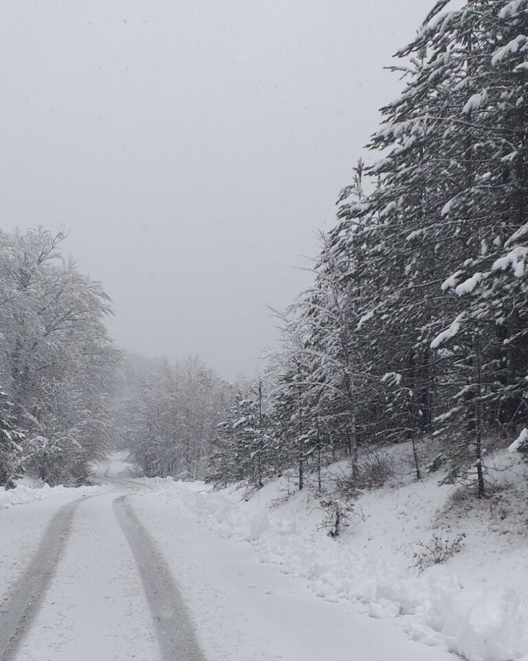 468619593 543520325328363 1710870792248190869 n 768x960