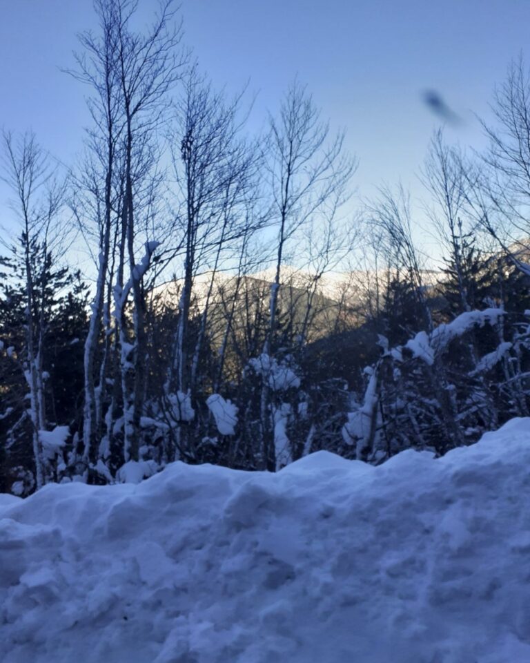 472090472 565313736482355 3334466069974700188 n 768x960