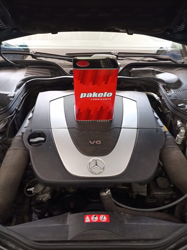 474231910 1476148106656948 7312536084732968016 n 768x1027