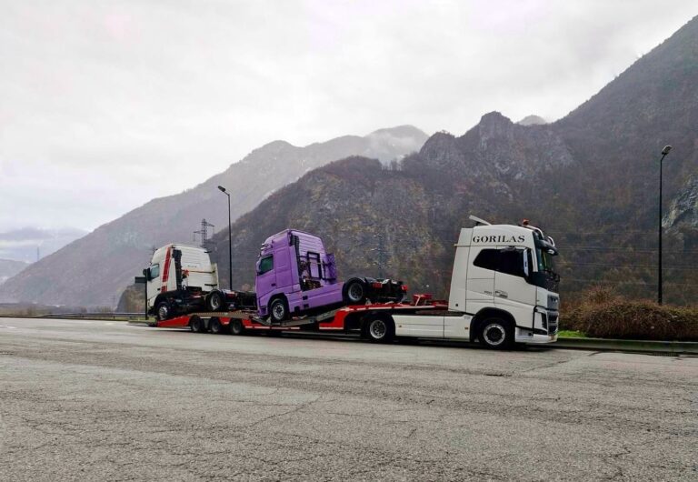 474901038 18047917679473216 8533173542064591121 n 768x530