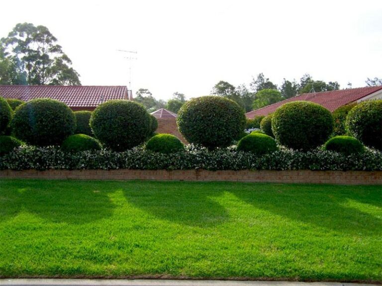 6179 KATASKEYES KIPON – FYTORIA – LIPASMATA Anthokipotehniki Lampropoylos Kataskeyi Syntirisi Kipoy Gerakas Aytomato Potisma Shediasmos Aithrioy Berantas Taratsas k05 768x576