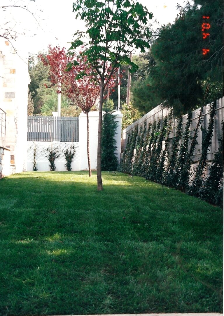 6179 SPITI KIPOS KATASKEYES KIPON – FYTORIA – LIPASMATA ANTHOKIPOTEHNIKI 6179 anth2 768x1081