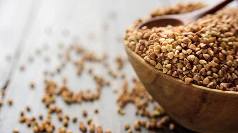 92608593 1134710206870566 3341813731171500032 n 1 768x431