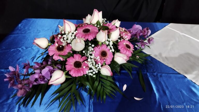 IMG 20230122 182103 768x433