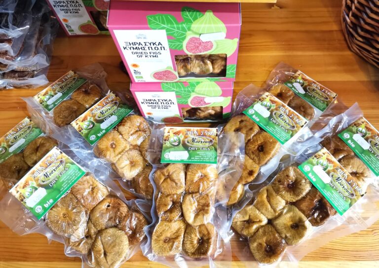 479350235 1067155445426076 7155042320360172922 n 768x543