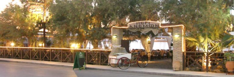 463333990 8593536080689418 4108423579502840733 n 768x255