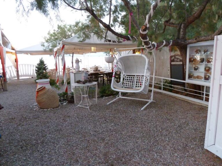 463413388 8593536104022749 6996136596028235950 n 768x576