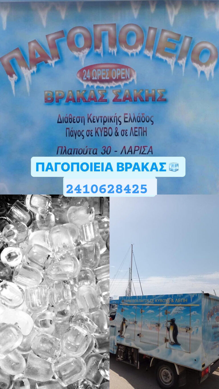 480229541 1146777220481340 8446522281141444264 n 768x1365